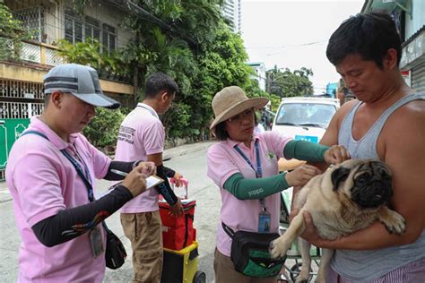 makati veterinary services office|Makati intensifies anti.